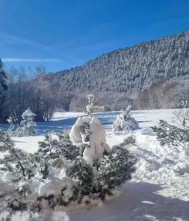 Le Du Lys Avec Jacuzzi Villa Les Deserts (Savoie)