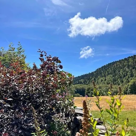 Le Du Lys Avec Jacuzzi * Les Deserts (Savoie)